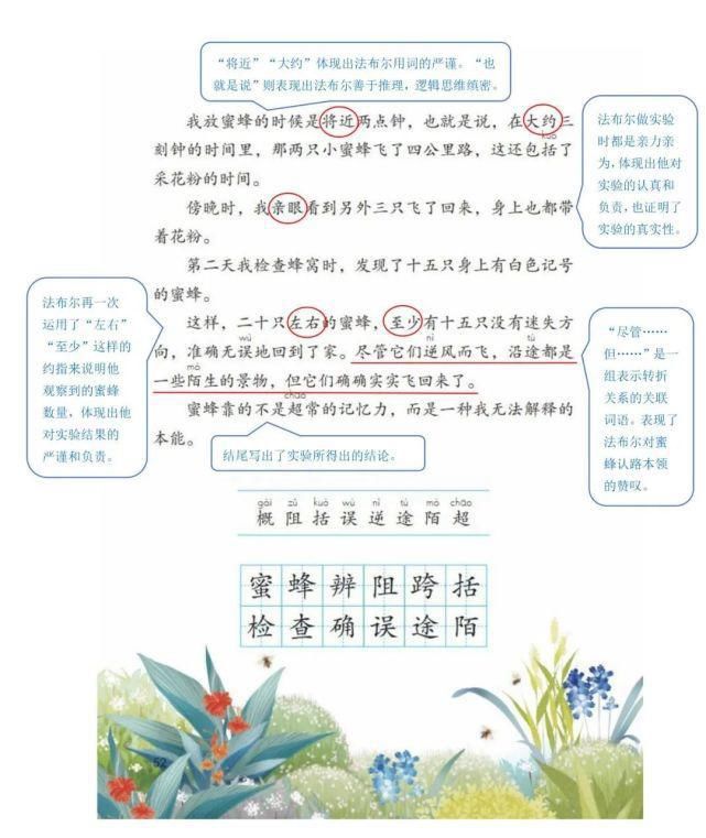 语文三年级（下册）课堂笔记