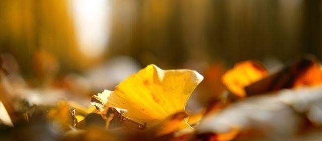 白云苍狗&李煜最精致的一首词,字字清新,道尽人生幻灭,凄艳千古