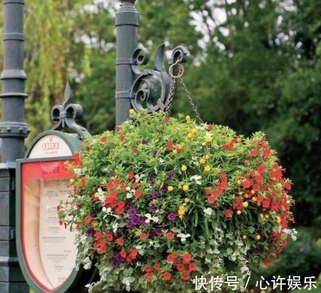 任何容器都能用来做花盆，请收好这30种美丽的花盆搭配设计