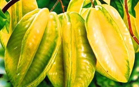 刮油|女性想要身体好,常吃的食物,刮油消脂,排毒清肠,营养又瘦身