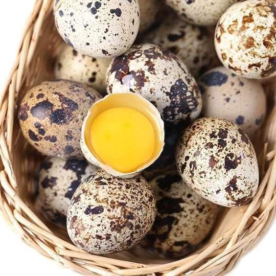 宝宝|给宝宝添加蛋类辅食，这几个原则要注意