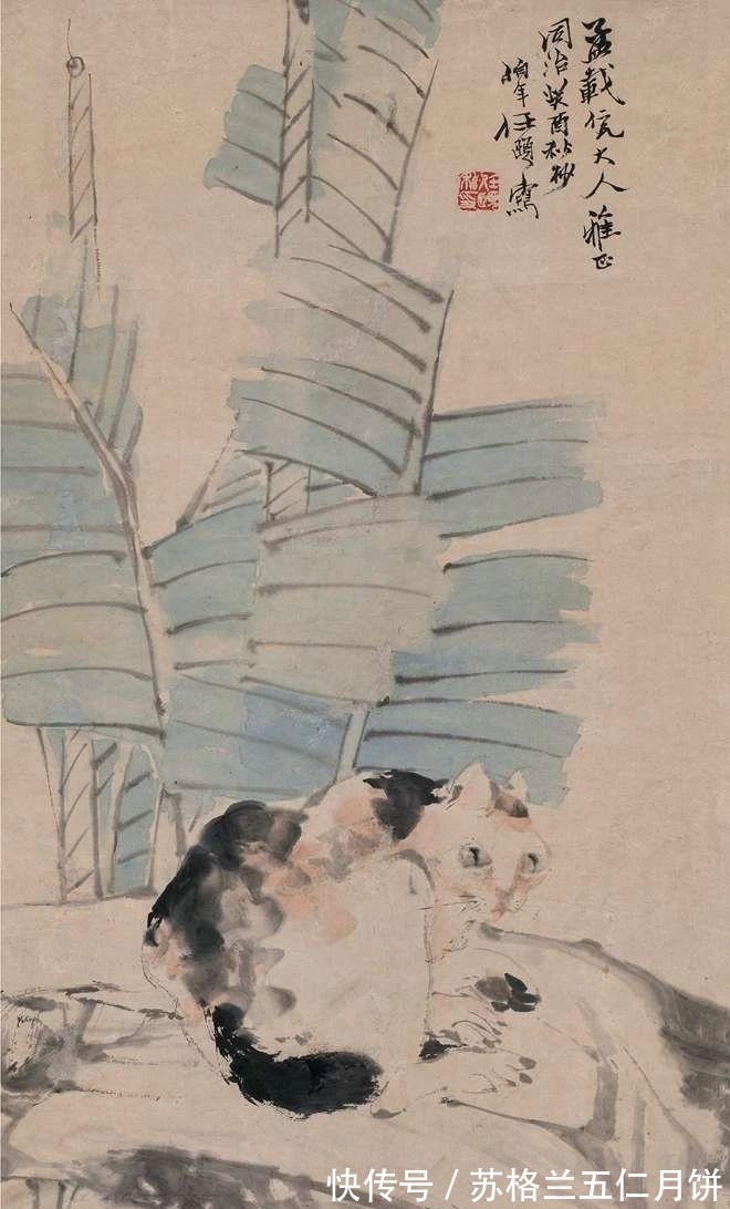 任伯年|「津门网」任伯年家的猫不一般,各个肥得流油估计伙食不错萌萌的