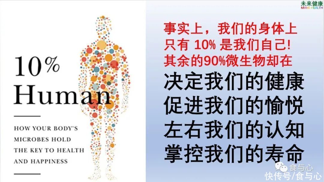 碳水化合物|你在为谁吃饭?看懂了就知道人为什么会生病 (1)