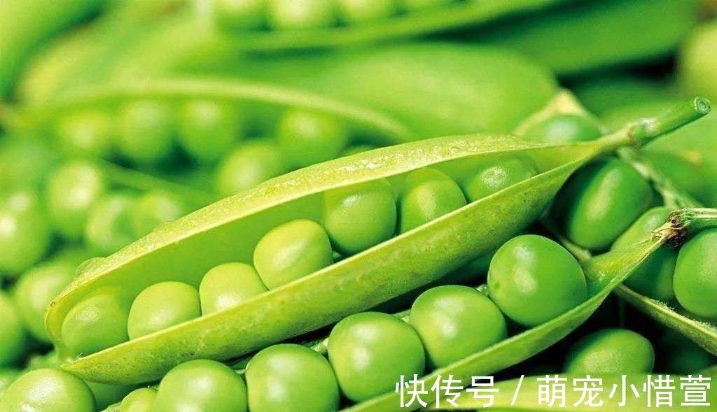 中国网友|老外用筷子夹不起来的4种菜，中国网友：第四种我们也不行