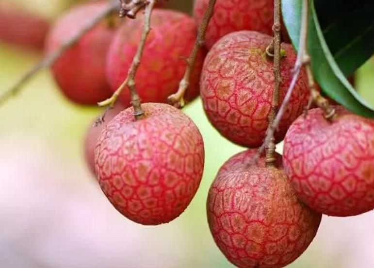 糖尿病|不想糖尿病缠身,3种“零食”多吃,平稳血糖,比打胰岛素强