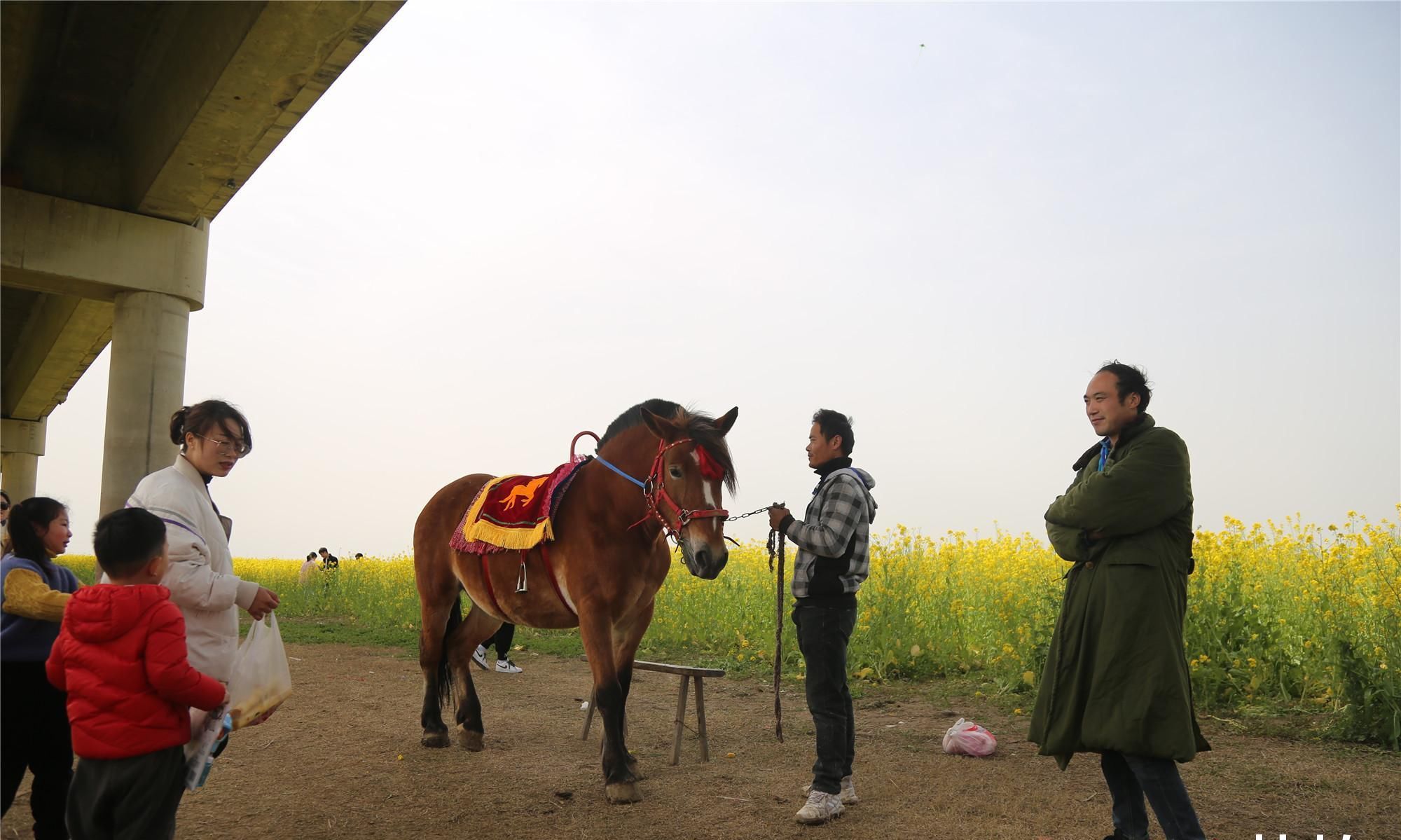 婚庆店老板苦叹淡季没生意,走出家发现商机笑称比旺季挣钱多