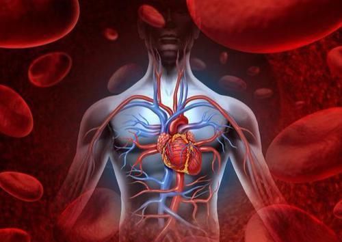 常吃|血管堵了不要怕,常吃这几样食物,助你疏通血管,血栓不来扰