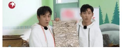 何洛洛|何洛洛森林知识高能对答，黄明昊神推理再次上线这个节目堪称超神