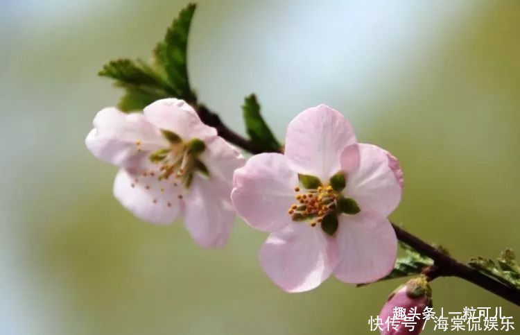 生肖|嘴很干净不嚼舌根，从不说别人坏话的4个生肖女，行的端做得正