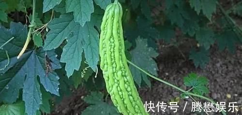 养生|皮肤好的女人,一般爱吃6种食物,若你也爱吃,真有福气