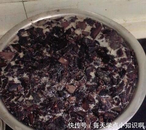 叶子|君子兰长满“大水缸”,叶子蹿满32片,“这样”养,你的也可以!