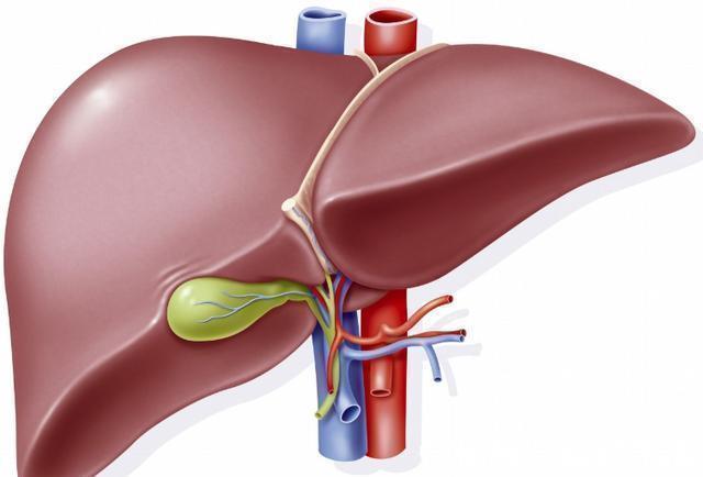 食物|营养专家说:早上养肝最佳,多吃这3种食物,肝脏或会更健康