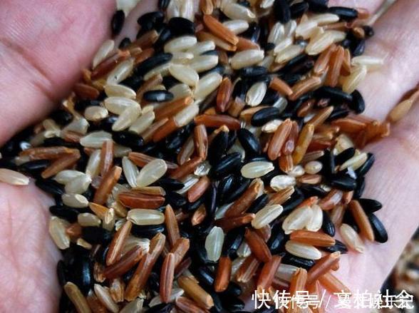 南瓜子仁|建议中老年人多吃下面这些食物，价格便宜又营养，常吃气色好