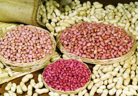 中老年人|晨起第一件事不是喝水,空腹吃几粒花生米养胃又益健康,疏通血管