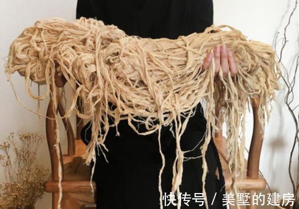 益气|构树就是这么牛，浑身都是“宝”，果实益气补肾，树汁能治牛皮癣