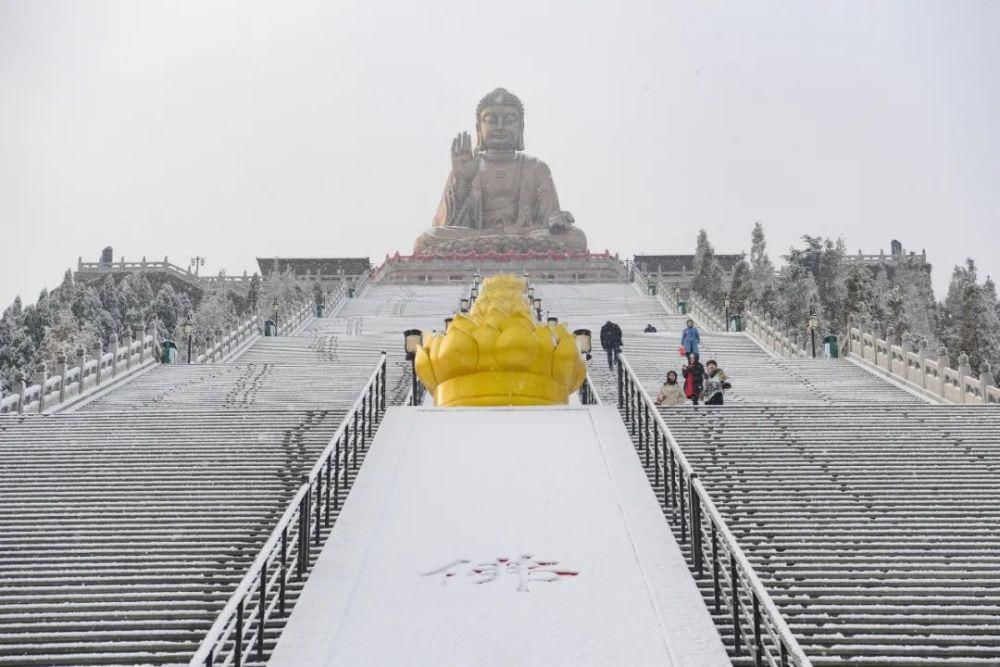 景区|惊艳！龙口南山景区迎初雪，这画面太美......