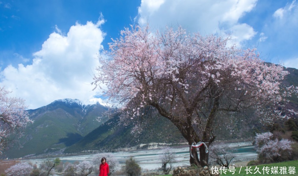 【林芝桃花节·5日旅拍】行摄中国最美的春天