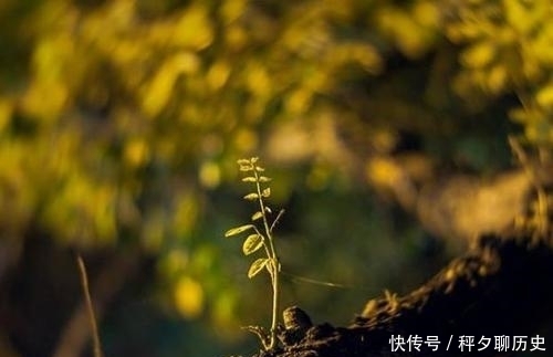 爷爷说|爷爷的告诫:人到五十,牢记这四句忠告,否则灾祸将至!