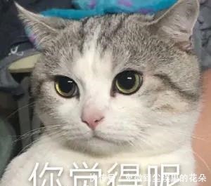 心理健康|青苗护航,伴你成长|“我快要疯了!”焦虑怎么办