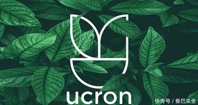 自然|2021年最新的 LOGO 设计趋势