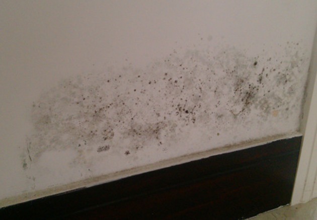 妙招|墙面污渍难看又难清理教你4个妙招除墙面污渍,轻松恢复大白墙