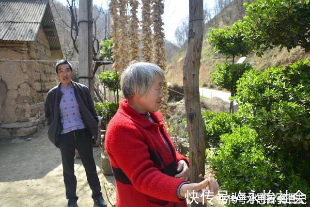 黄杨树#山村大叔耗时12年培养宝塔树,有人出价5万,大叔:开玩笑哩吧