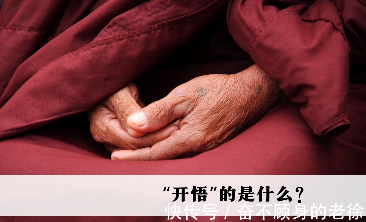 大道理$你开悟了吗?