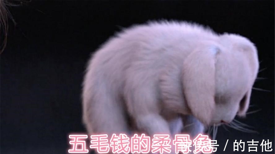 昊天锤|《斗罗大陆真人版》特效“真五毛钱”,昊天锤是竹笋,虎爪变猫爪