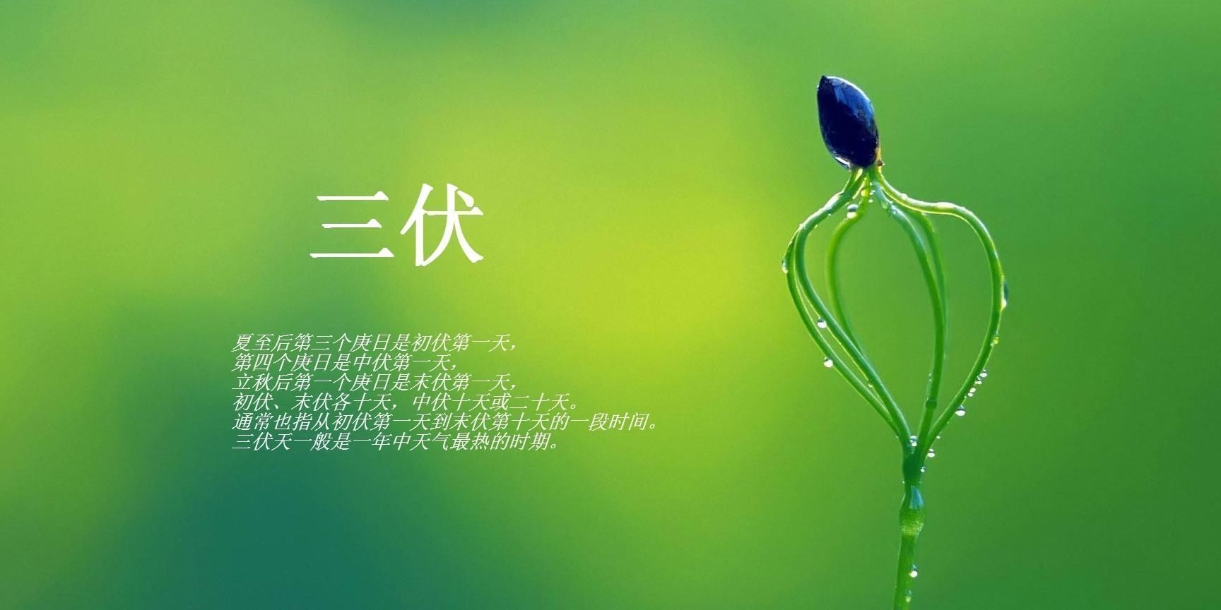 补充蛋白质|三伏天晨起做4件事,是“增加”寿命的行为,老年人越常做越长寿