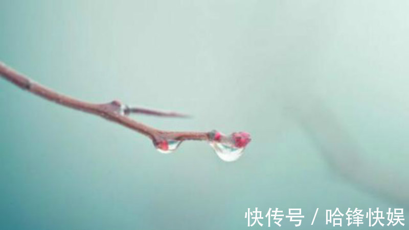 春景&秦观很高明的一首词,仅是开篇5字就很有味道,最后一句神来之笔