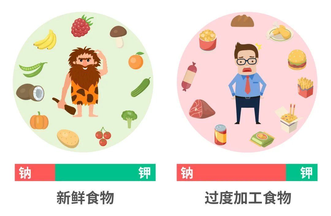 钠盐|一种能控制血压的元素，你可能一直没吃够