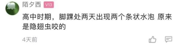 隐翅虫皮炎|女子清晨被痛醒，一照镜子吓坏了！睡觉千万别这么做……