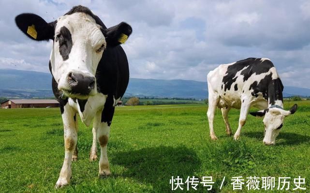 补充营养|父母在2方面“使劲管”孩子,记忆力会越来越强,大脑更聪明