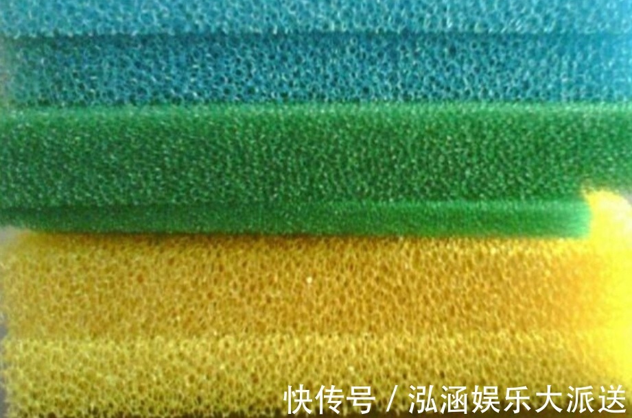 花盆|换盆用它垫盆底，养花效果非常好，花卉越长越旺盛！