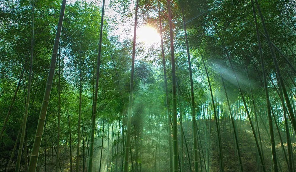 上帝偏爱的山水秘境！日出云海，观星赏花……这个浙南宝地是藏不住啦~