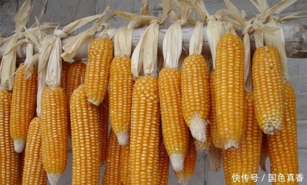 探索老人长寿秘密,多吃“五谷之最”,清理血管排毒防癌抗衰老