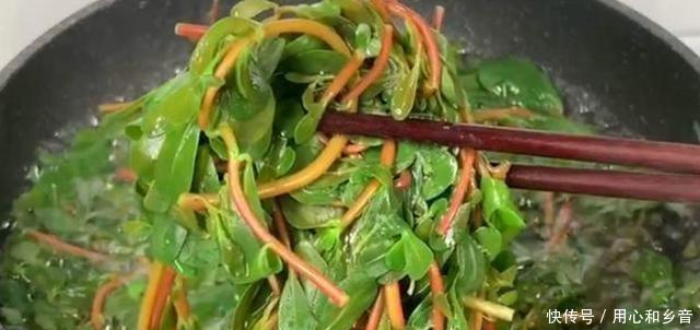 放入|当你遇到这道菜时,不要手软,一次性储存20斤,放入冰箱冷冻