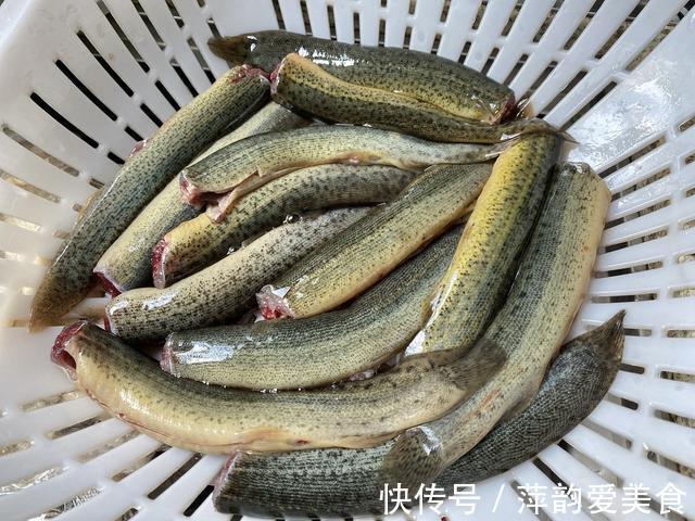 健康|泥鳅要不要掏内脏?很多人搞不明白,为了家人的健康,不妨看一看