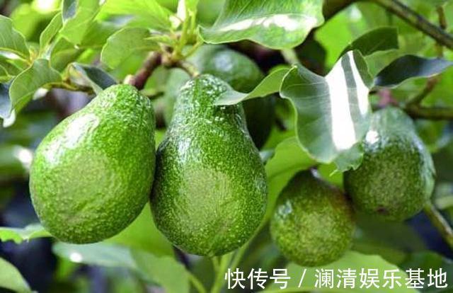 滋补|女性到了中年,要学会吃四种食物,补充营养,滋补身体