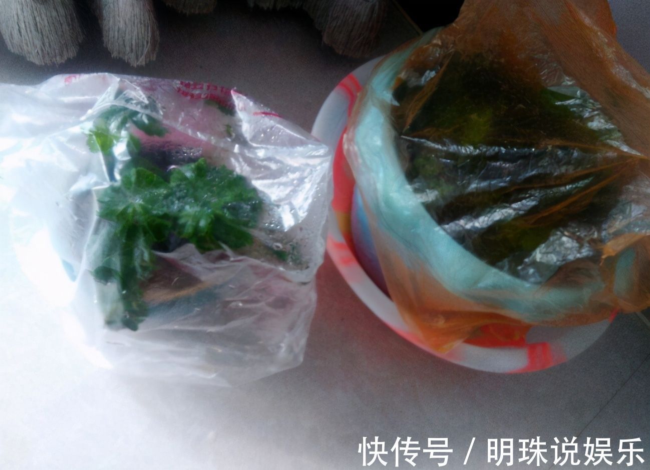 花花|被当成垃圾的塑料袋，其实是个“宝”，用来养花效果好