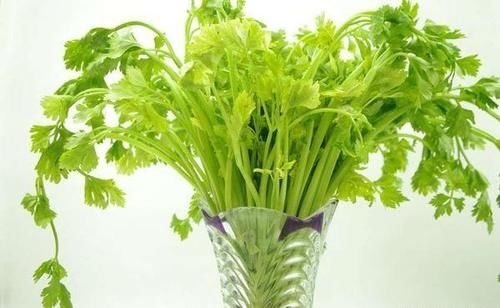 纤维素|蔬菜界的“防癌高手”已找到,没事多吃点,降低患癌风险