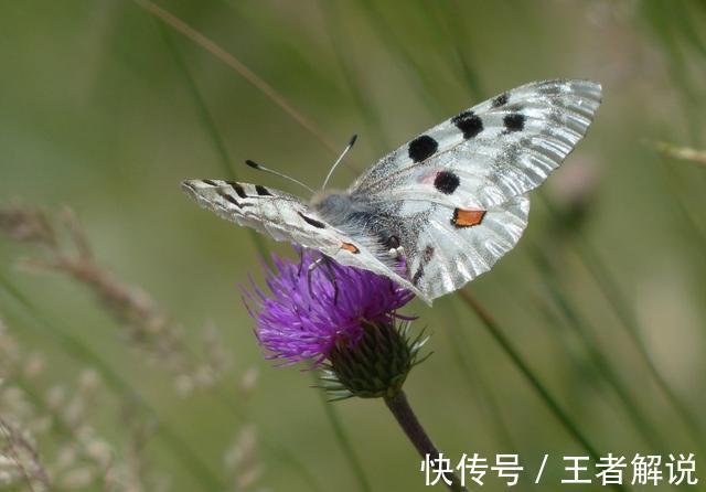 人生|下周里福气上行，财星高照，把握机会人生一路开挂！