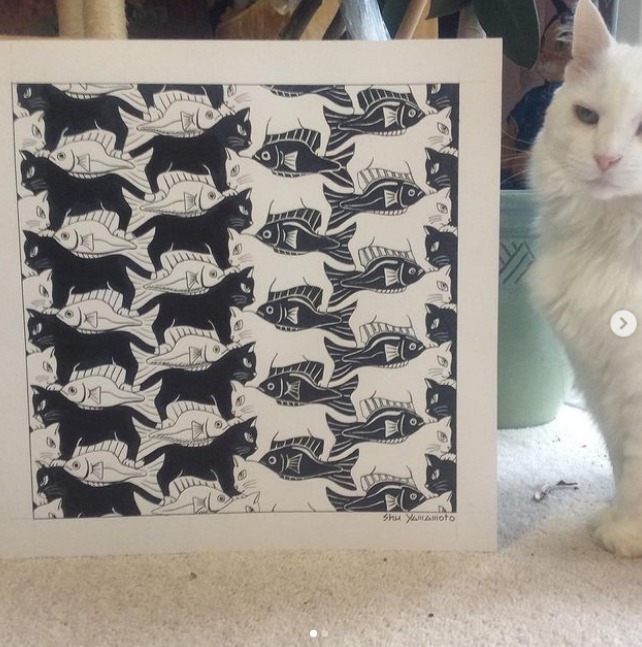 猫咪#艺术家笔下的猫咪“入侵”世界名画,萌到让人尖叫!