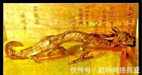 龙眼睛#种种迹象表明,中国传说中的龙可能真的存在,日本就有龙的标本