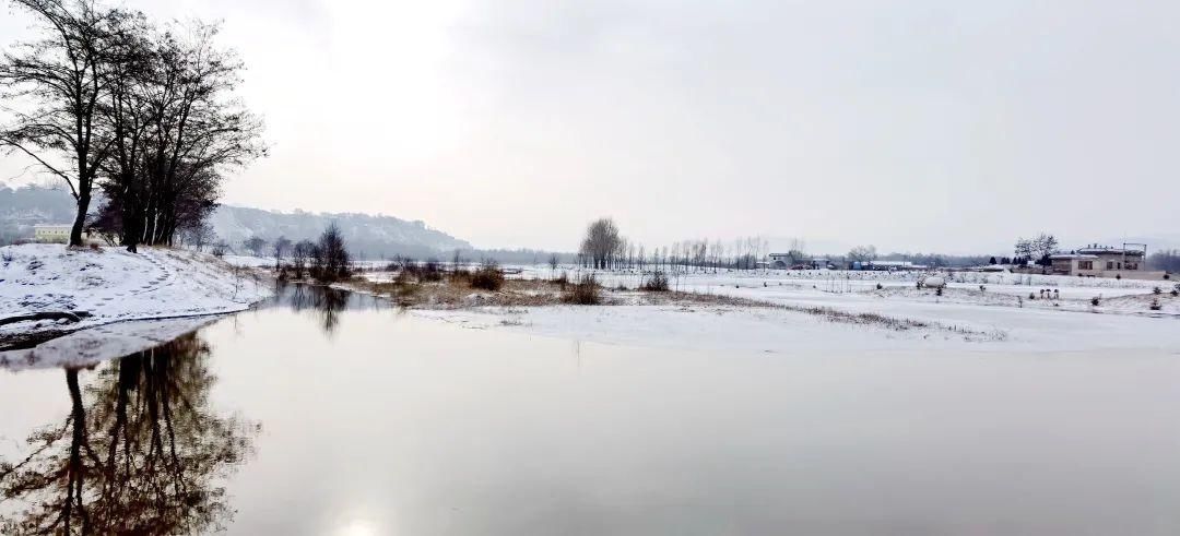 深冬|在洮河湿地公园，来一场深冬邂逅！