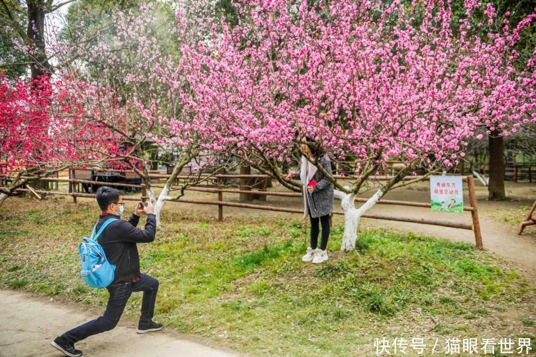 中年|打卡拍照赶紧出发吧秀丽东方桃花开了还有西南最大冰岛虞美人花海