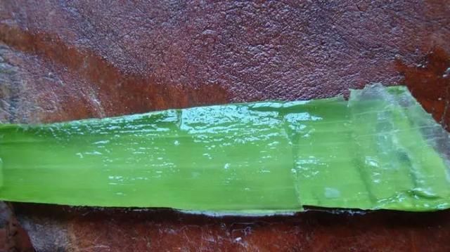 侧芽|10年芦荟老桩,做成盆景超级好看,观赏价值特别高