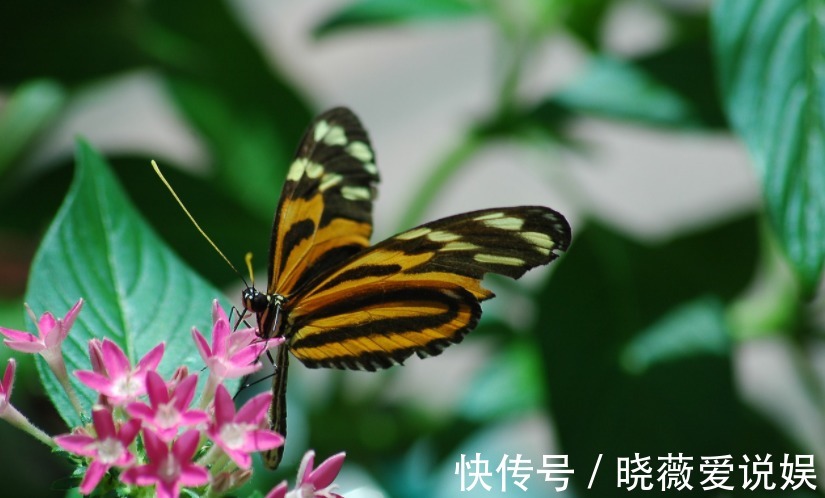 六悔铭|这篇传世奇文,全文仅42个字,说尽了人生六大悔事