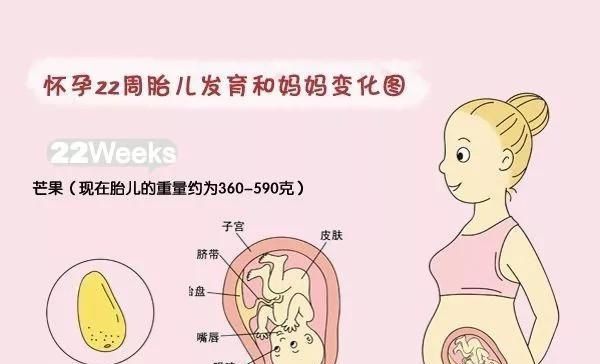 口臭|怀孕22周了，入睡困难、失眠、口臭……我只想早些卸货