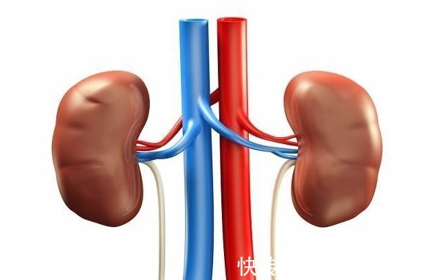 肾脏|男人常吃3种“零嘴”,可能“肾功能”更强大,可惜大多人不爱吃